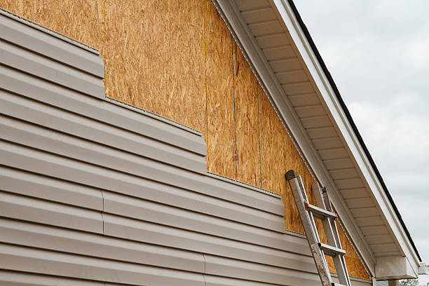 Professional Siding Repair technician working in Sophia, NC